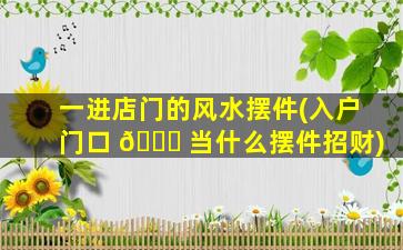 一进店门的风水摆件(入户门口 🐋 当什么摆件招财)